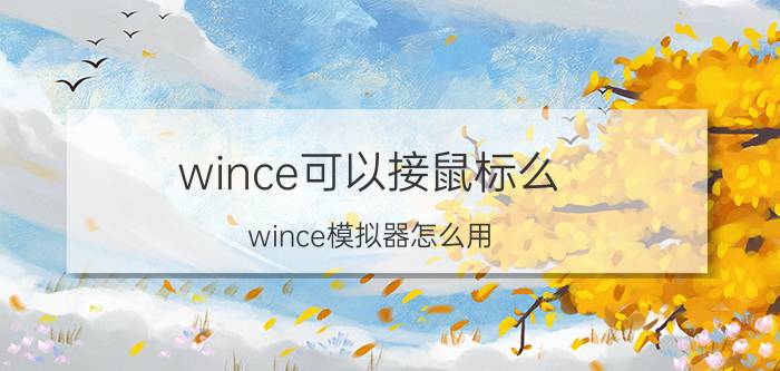 wince可以接鼠标么 wince模拟器怎么用？